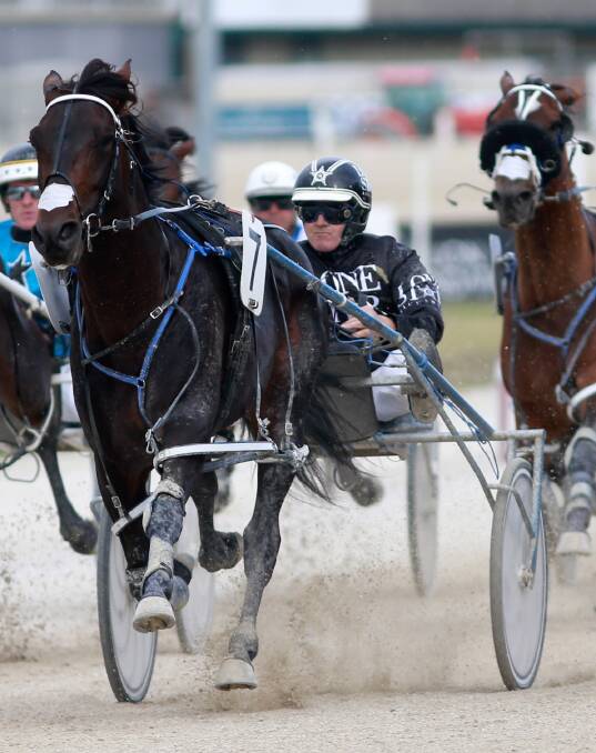 ON THE RISE: Australia gets its first look at New Zealand star 3yo Lazarus (Mark Purdon) in the Victoria Derby heat in Ballarat on Saturday night. Picture: Getty Images.
