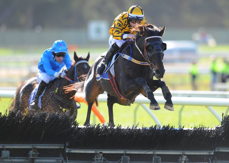 FULL FLIGHT: Top class jumper Gotta Take Care as racegoers will remember him. Picture: Getty Images 