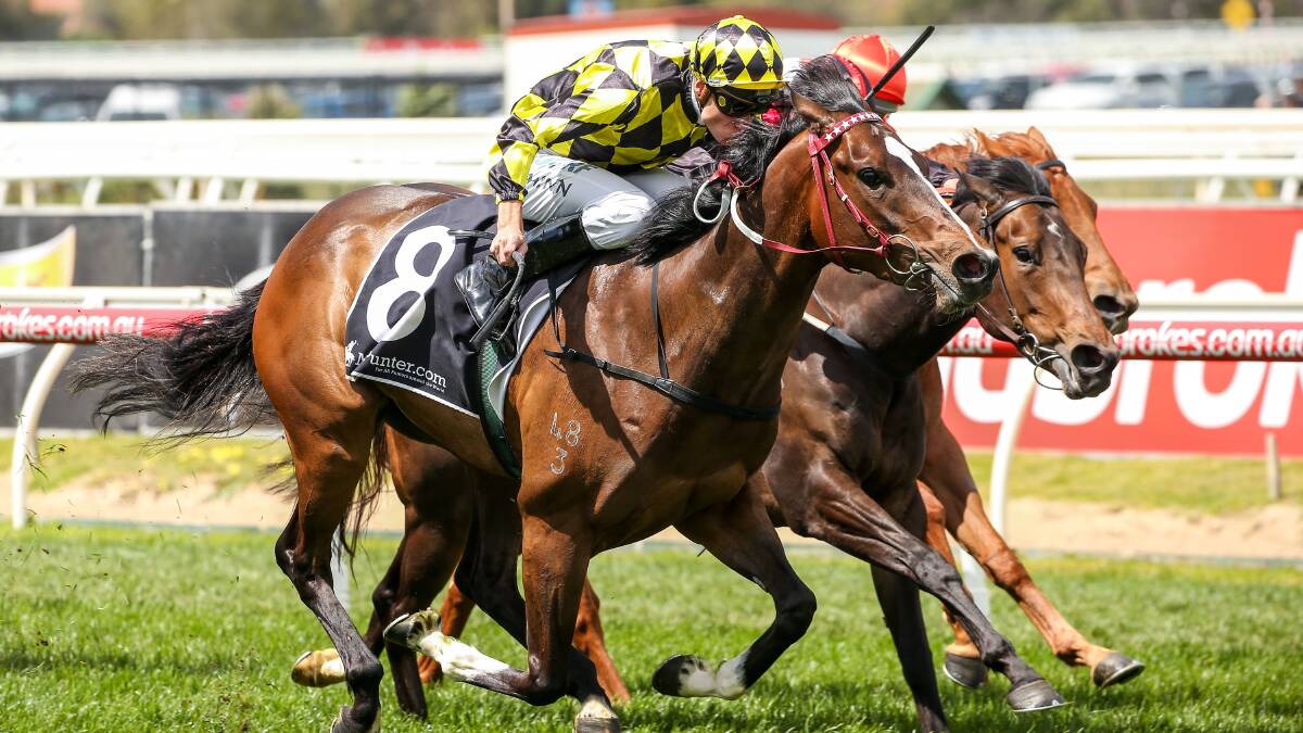 EMERGING: Jennifer Lynn steps up to city company for the first time  to capture the $100,000 MyPunter.com Plate, 1400m, at Caulfield. Picture: Getty Images