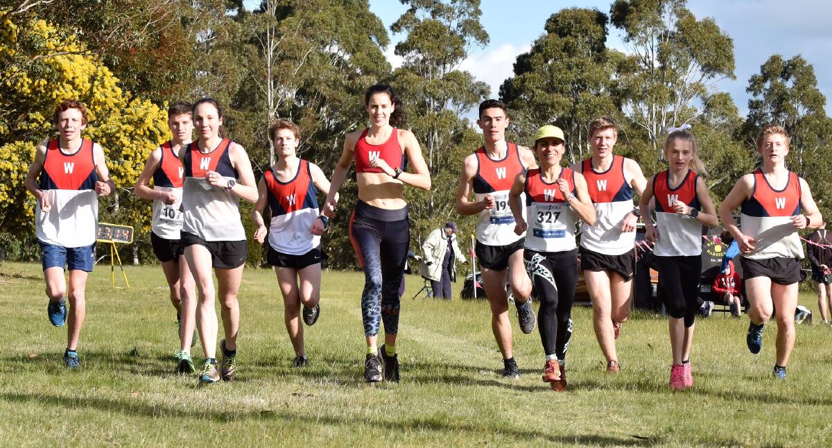TOO GOOD: Wendouree Athletic Club's triumphant men's and women's division one cross country relay teams. Picture: Neville Down