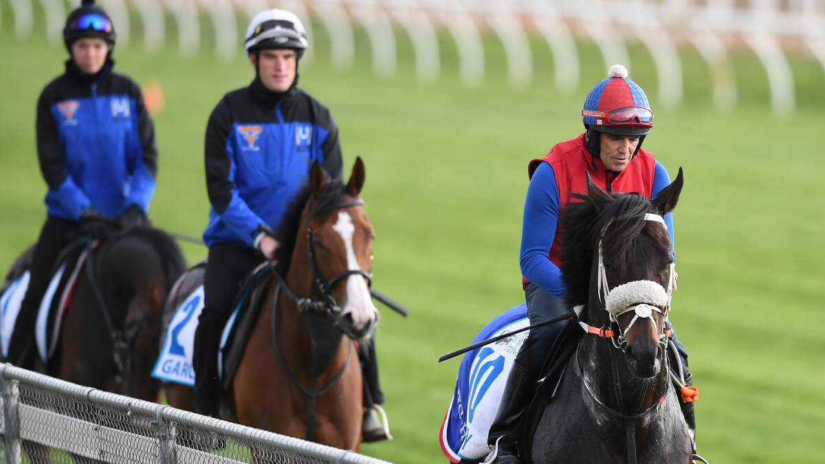 Kaspersky on the track at Werribee on Wednesday. Picture: AAP Image