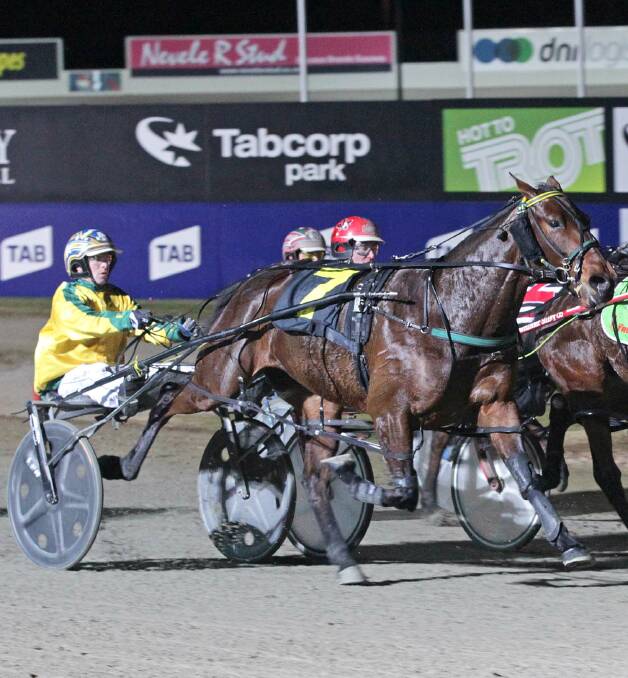 BIG HOPE: Heavens Trend is one of three starters Emma Stewart has in the group 1 $185,000 Breeders Crown 3yo fillies' final at Melton on Sunday. Pictures: HRV