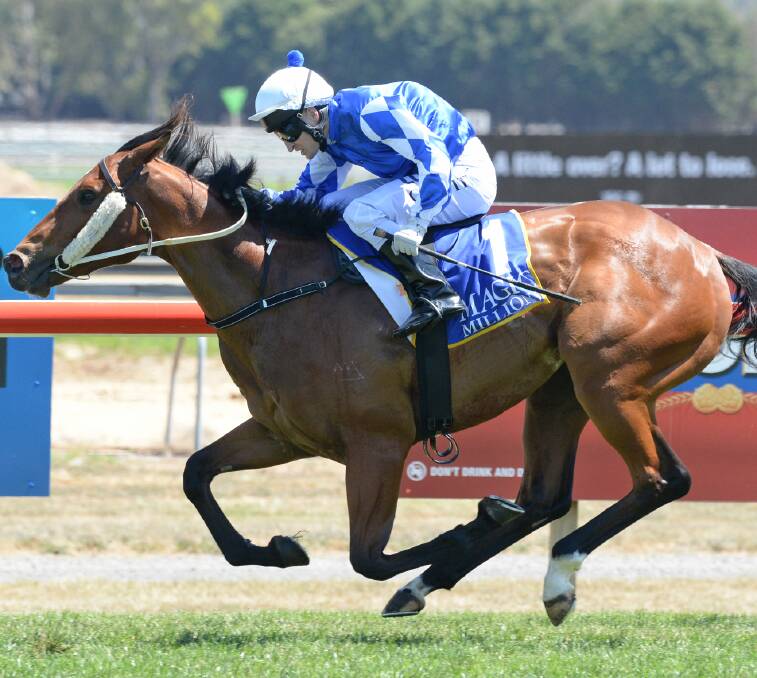 OTHER WAY: Craig Newitt steers Claro El Blanco to victory in the 2yo Clockwise Classic. Picture: Slickpix