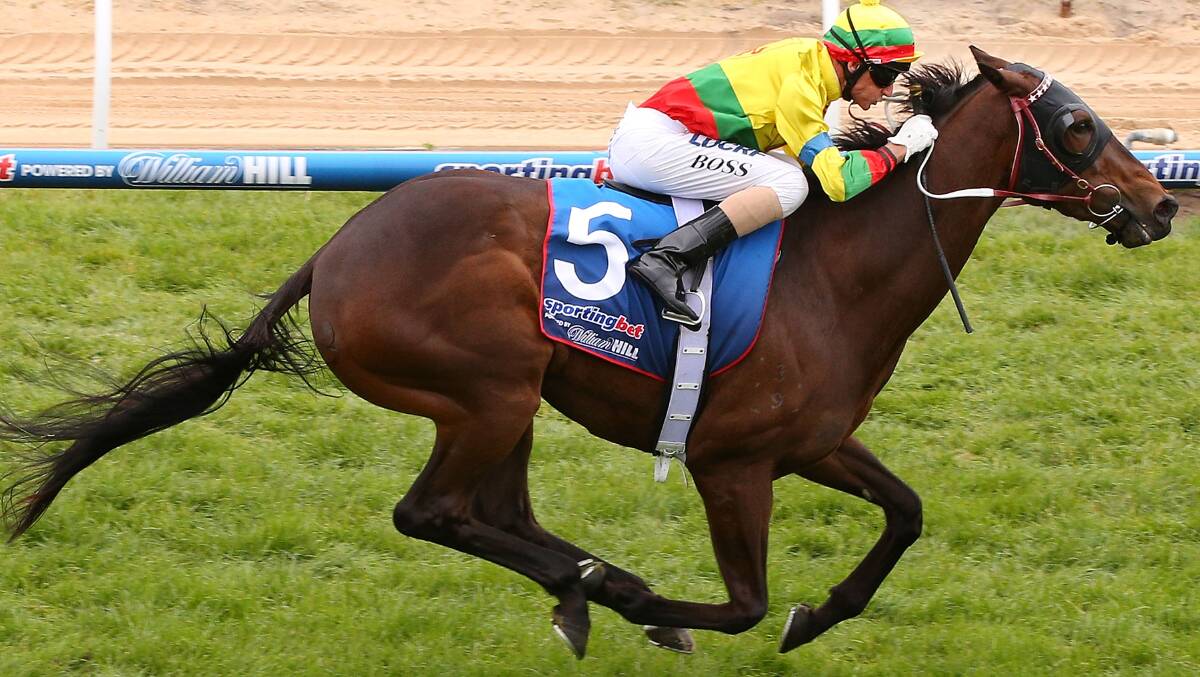Lucky Hussler a top chance for Saturday's group 1 Toorak Handicap at Caulfield. Picture: Getty Images.