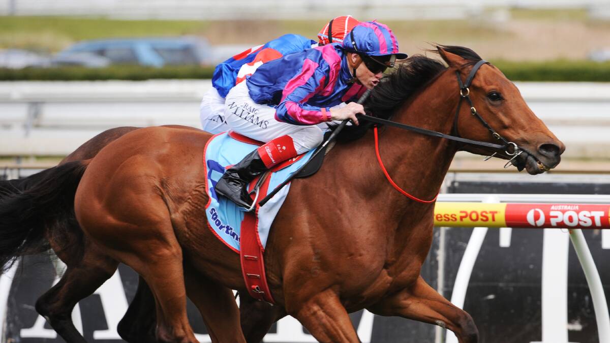 Extra Zero is one of the true veterans of Australian racing at 11 years of age. He will be chasing another feature in the Ballarat Cup. Picture: AAP Images
