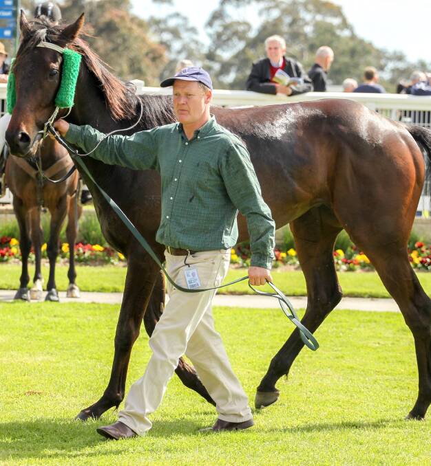 LONGSHOT: White Dollar Sign is paraded after his last-start Moe win for Ballarat trainer John Thom. Picture: Getty Images