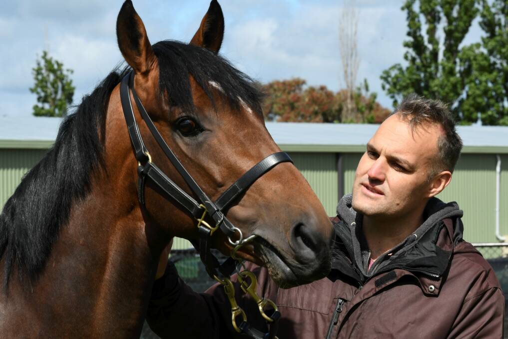 Stable foreman and part-owner Andrew Bobbin with Greycliffe. Picture: Lachlan Bence