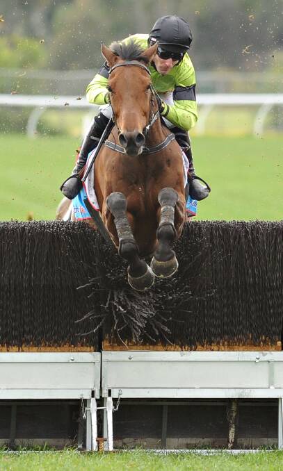 GRAND JUMPER: Bashboy heads nominations for Sunday's Grand National Steeplechase in Ballarat. Picture: Getty Images