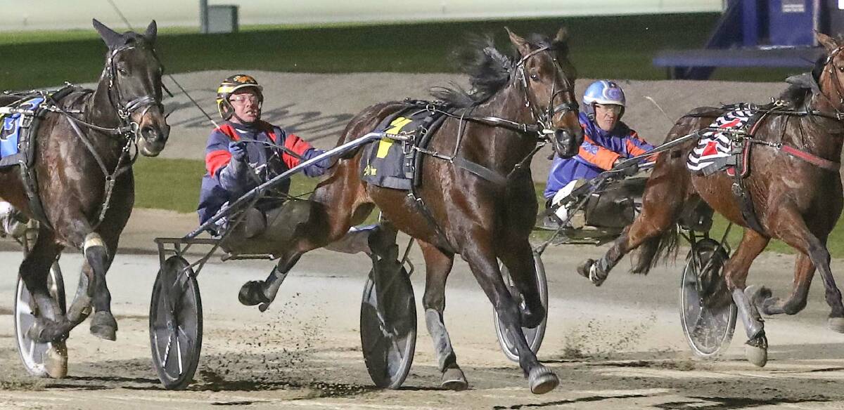 Jason Lee urges Kinvara Sue to the line in the Vicbred Super Series 4yo trotting mares' final. Picture: Stuart McCormick, Harness Racing Victoria