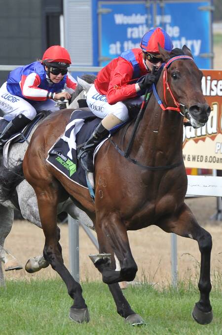 NOMINATED: Treasure Map leads home the charge in this year's Burrumbeet Cup. He is entered to run in the event again on Sunday.