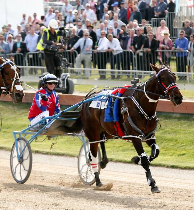 OUT: Hunter Cup and New Zealand Cup winner Arden Rooney will not make it to the Ballarat Pacing Cup owing to a setback in his preparation. Picture: Getty Images