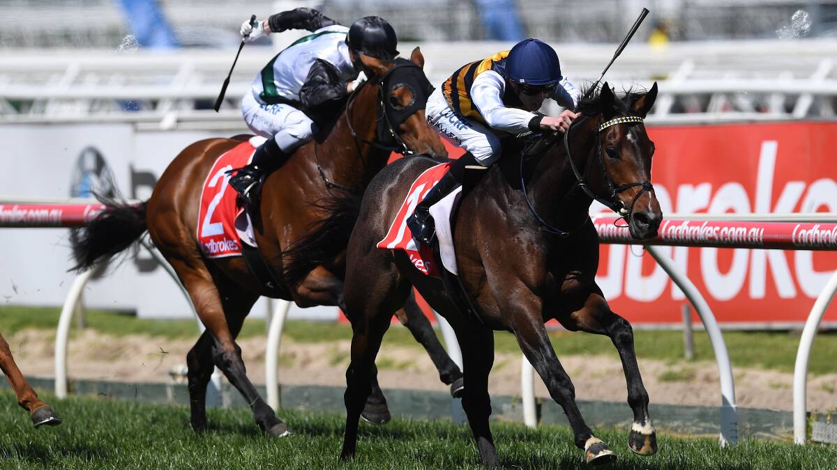 Lord Fandango runs away with the Herbert Power Handicap at Caulfield on Saturday to secure a Caulfield Cup start. Picture: AAP Image