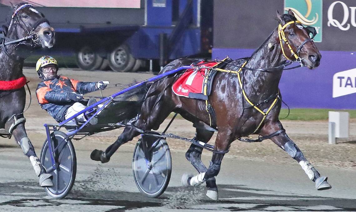 HOPING FOR A MIRACLE: Burrumbeet trainer Michael Stanley has leading contender Soho Tribeca in the Miracle Mile at Menagle on Saturday night. Picture: HRV