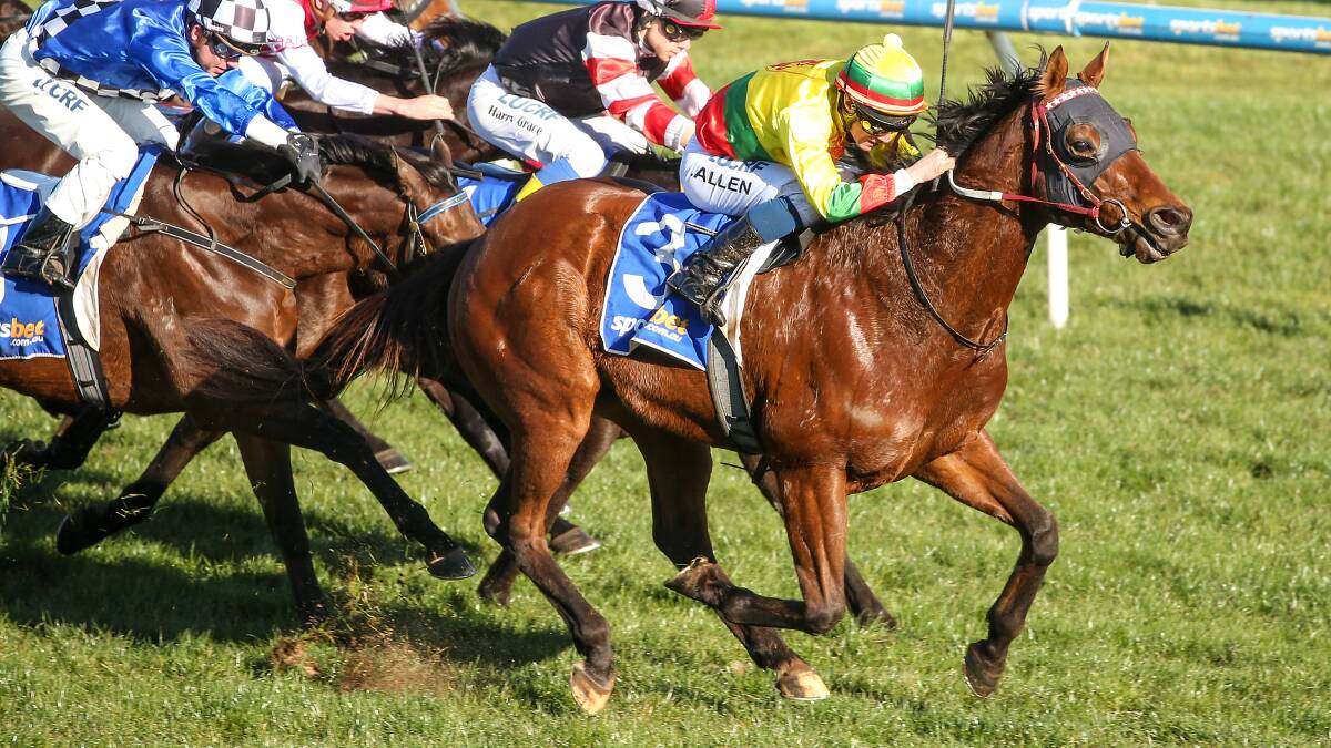 John Allen urges Stormcraft to the line in the Porter Plant Handicap at Sportsbet-Ballarat - one of his three winners on Thursday, when he was also suspended. Picture: Getty Images