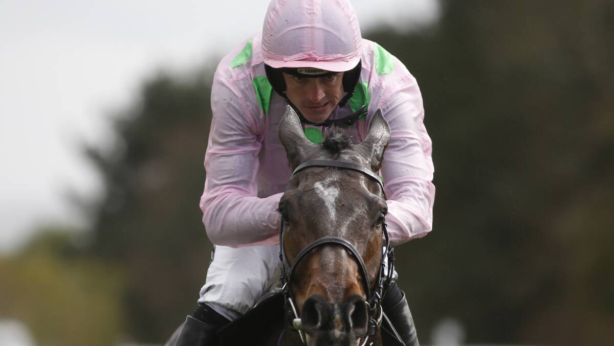 Ruby Walsh -  confirmed to ride Bashboy in Ballarat on Sunday. Picture: Getty Images