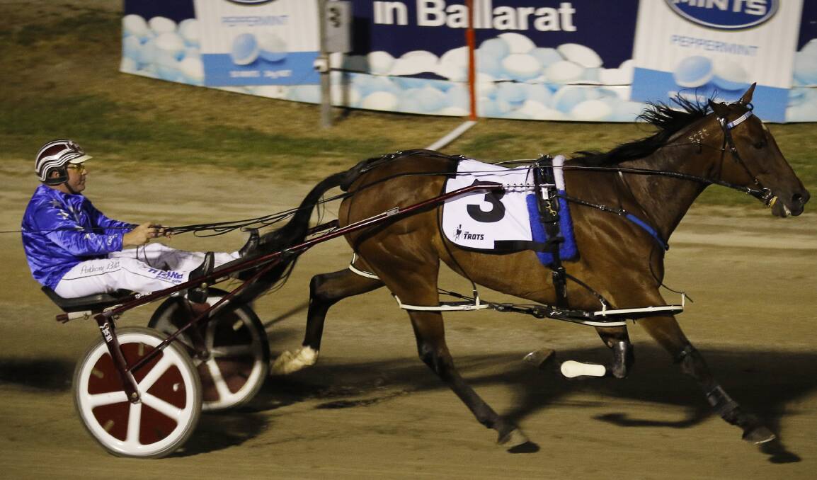 ALL ALONE: Smolda (Anthony Butt) hits the line with no one else in sight in the Ballarat Pacing Cup at Bray Raceway. 
