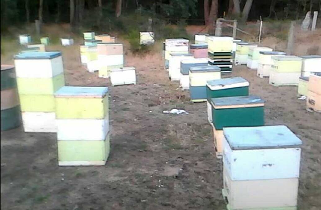 The boxes before they were stolen. Picture: CONTRIBUTED