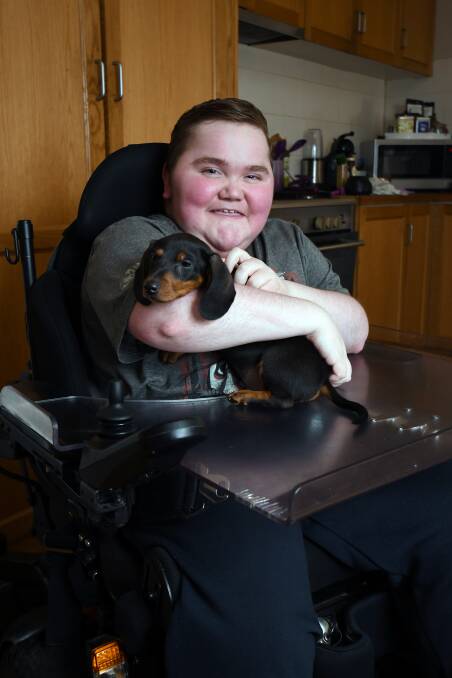 MAN'S BEST FRIEND: Daniel Walters, 18, with his dachsund pup Teo. Dan has muscular dystrophy but he refuses to let it stop him doing all the typical things a teenager would do. Picture: Kate Healy
