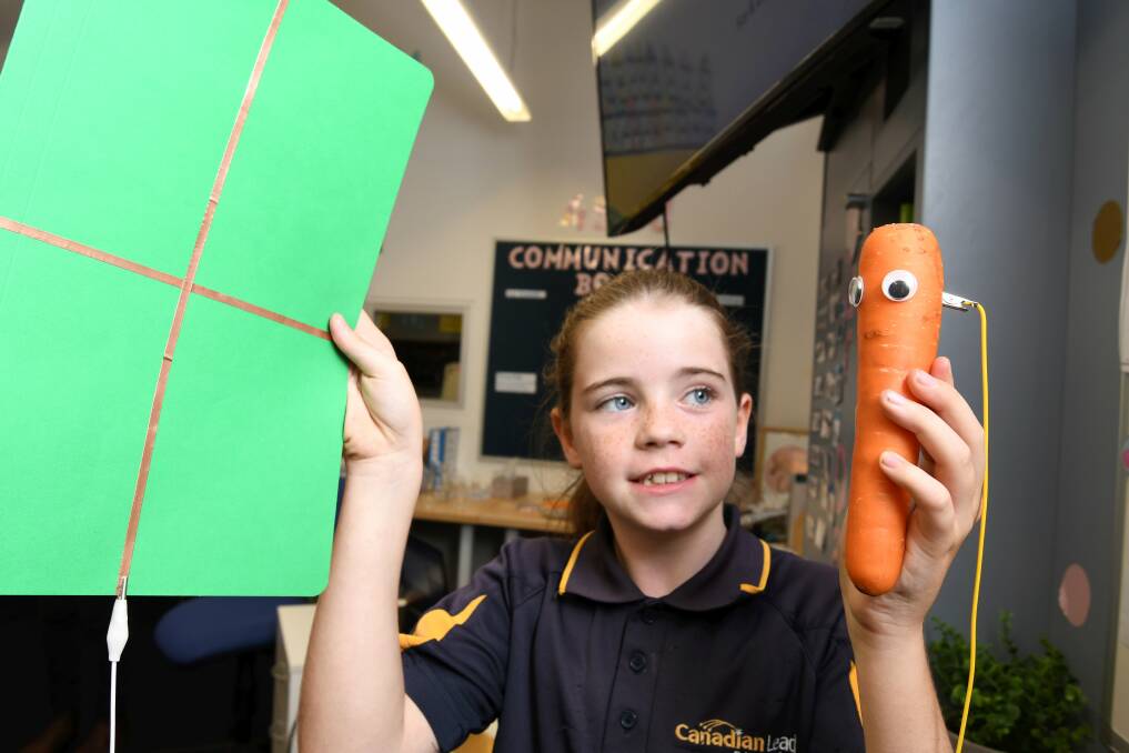 CARROT TECH: Canadian Lead grade five student Aurora works on her science, technology, engineering and maths skills with a low-tech carrot. Picture: Lachlan Bence