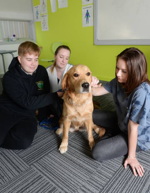 Berry Street's newest teacher, therapy dog Phoebe, enjoys pats with students Alex and Angel, and teacher Samantha Walkenden. Picture: Kate Healy 