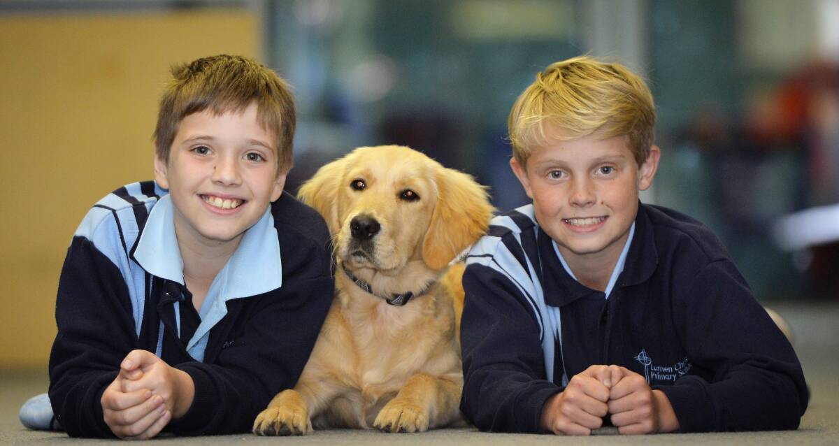 CLASSMATES: Isaac and Sam relax with Maggie the golden retriever, who has been a popular addition to the grade 5/6 class at Lumen Christi Primary School in Delacombe. Picture: Dylan Burns