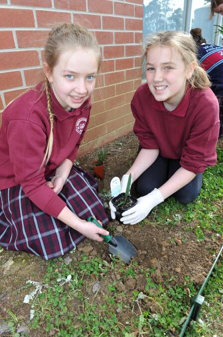 Green thumbs: Wendouree Primary School grade five pupils Emma and Madi embracing Schools Tree Day. Picture: Lachlan Bence