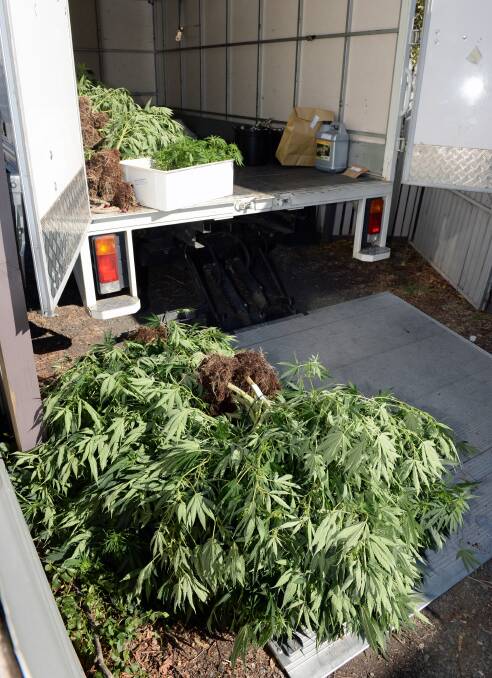 Busted: Ballarat Police discovered a cannabis grow house on Thursday. Picture: Kate Healy