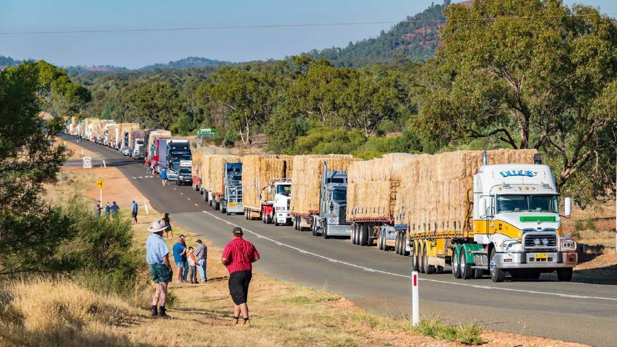 The Burrumbuttock Hay Runners have been a revelation for farmers in Australia, with Belinda Burley a key contributor to the cause.
