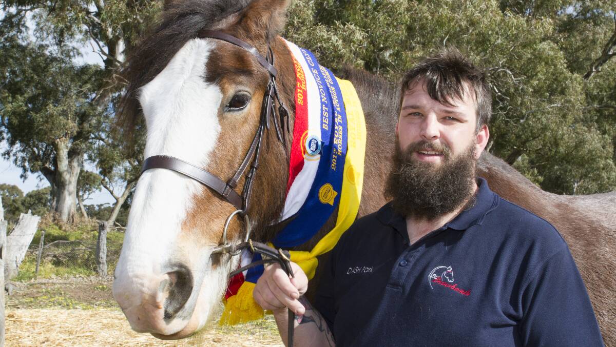 BIG WIN: Armstrong Clydesdale show exhibitor Dan Blight with 'Hamish', who won a major award at the Royal Melbourne Show. Picture: Peter Pickering