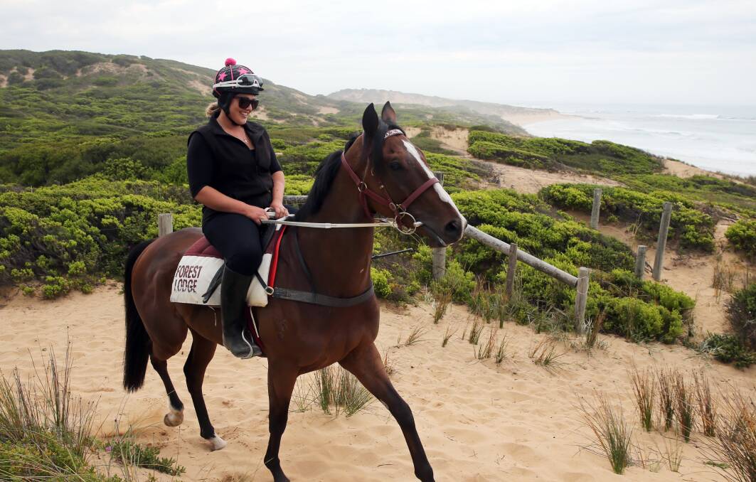 Beached: Melbourne Cup winner Prince Of Penzance and Maddie Raymond work the Levy's Point dunes. Cutting access to beaches could hurt Weir's facility. Picture: Rob Gunstone
