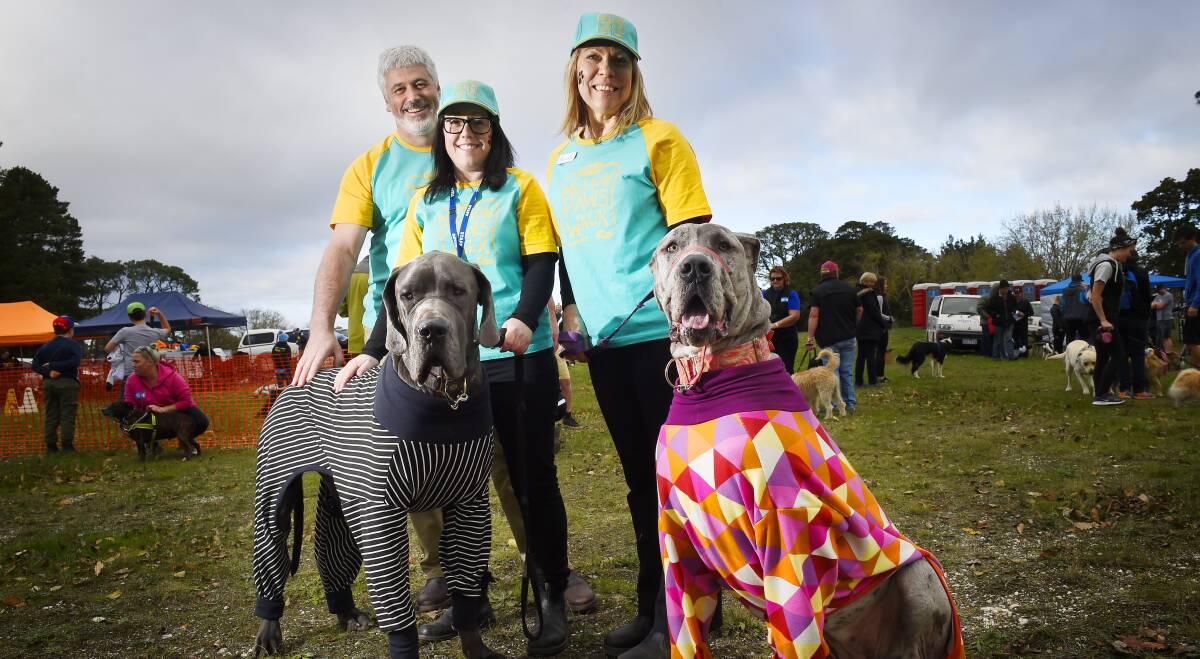 WALKING TOGETHER: RSPCA Victoria Chief Veterinarian Dr Andrew Byrne, Pets Place manager Lyn Zboril and event co-organiser Leia Martin with great danes Floyd and Bella. Picture: Luka Kauzlaric. 
