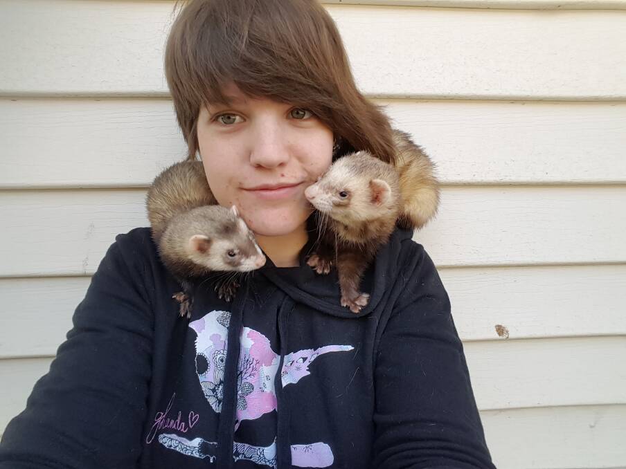 ANIMAL WELFARE: 24-year-old Caitlin Costello is a member of Unwanted Fuzz Ferret Rescue who rescues and re-homes unwanted ferrets.
