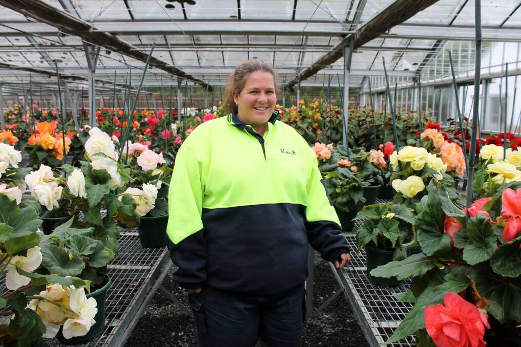 Erin Brennan has been growing begonias for the City of Ballarat for almost 20 years. Picture: Rochelle Kirkham 
