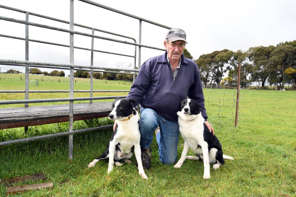 CHAMPION DOGS: John Tuddenham will compete at the Dean Sheepdog Trials before representing the state at the Supreme Australian Working Sheepdog Championship on October 14. Picture: Kate Healy. 