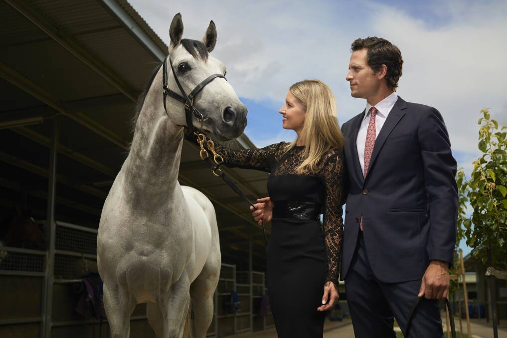 HERE TO RACE: Matt Cumani and Sarah Bell with horse Grey Lion before the 2017 Ballarat Cup. Picture: Luka Kauzlaric 