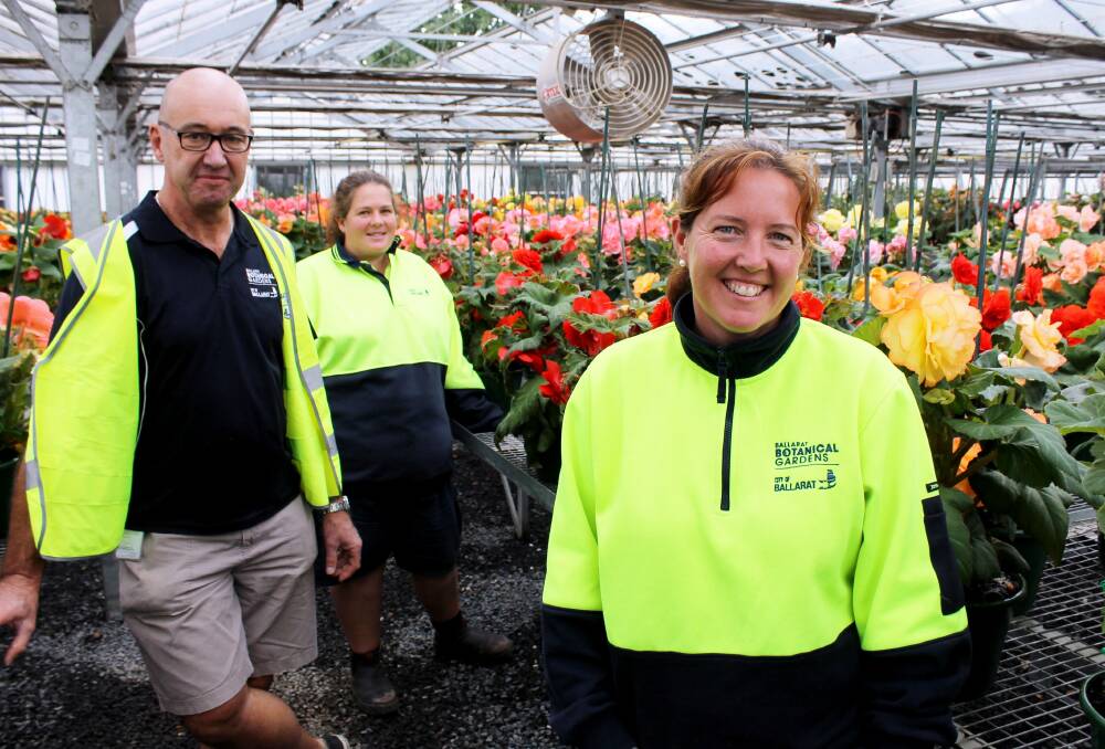 City of Ballarat gardeners Sheree Blood, Erin Brennan and Peter Marquand with begonias in the nursery. Picture: Rochelle Kirkham 