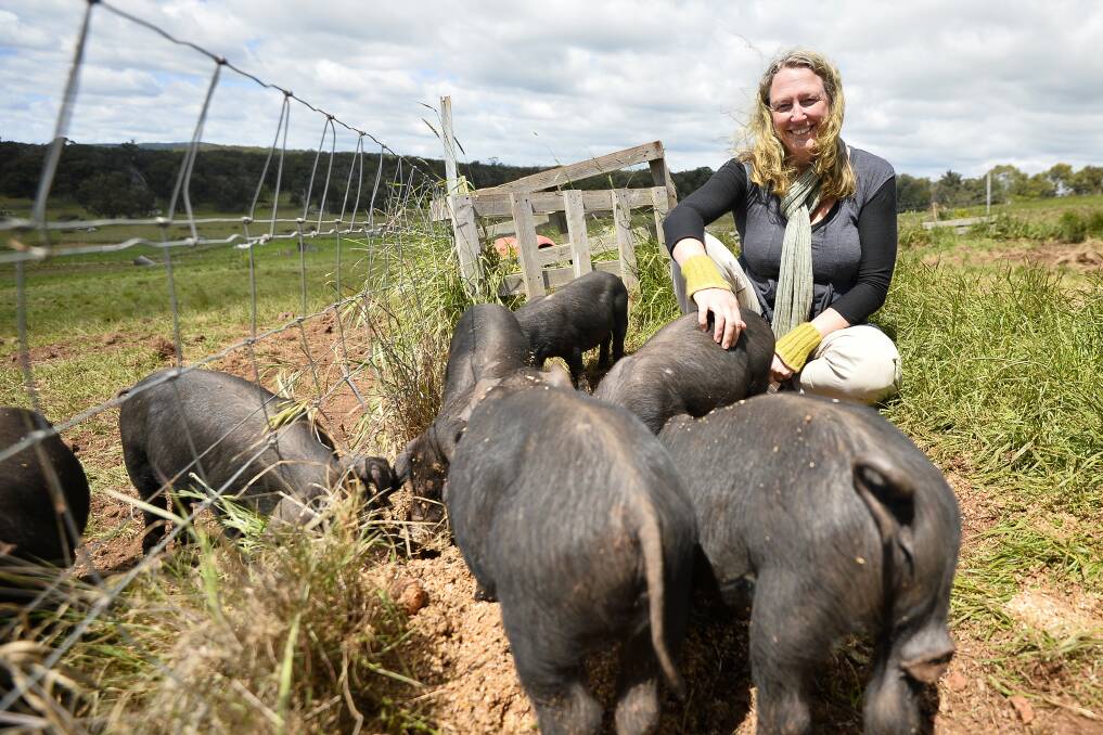 PIG FARM: Small-scale pig farmer Tammi Jonas is angered by the proposed planning reforms for sustainable animal industries. She says the reforms don't reduce red tape for small-scale farmers. Picture: Dylan Burns 