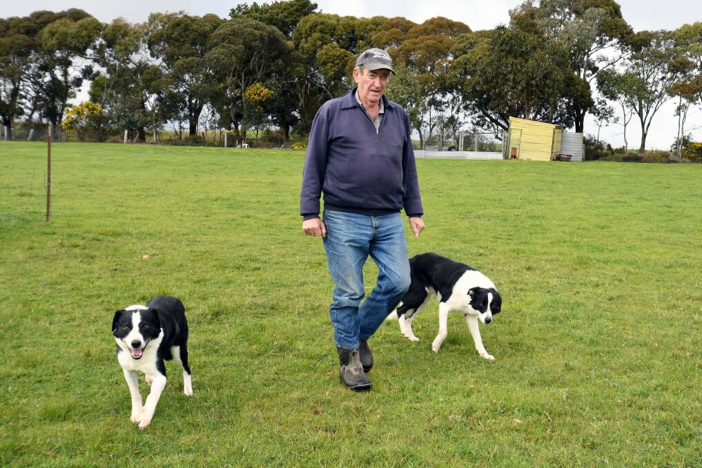 SHEEPDOGS: Ross Creek local John Tuddenham will compete with his dogs Paddy and Roo at the Dean Sheepdog Trials on October 8. He will represent the state at the Supreme Australian Working Dog Championships the following week. Picture: Kate Healy. 