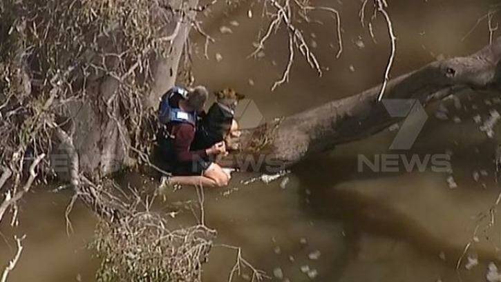 The man and his dog stranded in floodwaters. Photo: Courtesy of Seven News