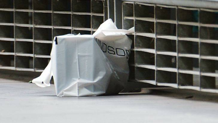 A plastic bag that appears to be a Windsor Smith bag. Photo: Joe Armao