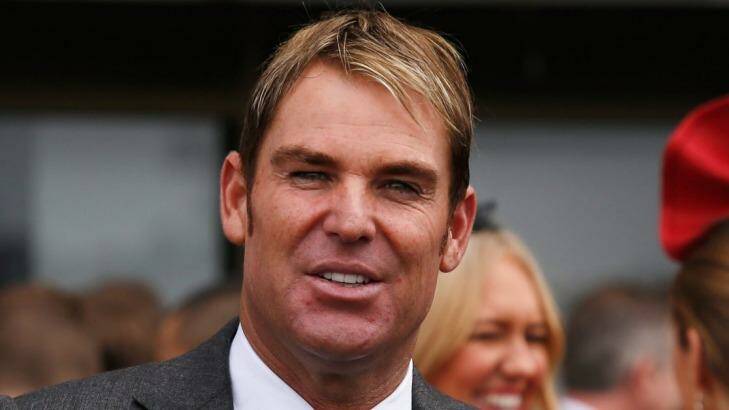 Gold nuggets: How can you resist Shane Warne's cricket commentary? Photo: Darrian Traynor
