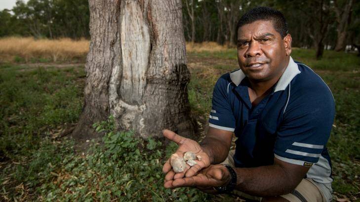Jida Murray Gulpilil near the banks of Lake Boort with some clay balls which were used in cooking like heat beads are today. Photo: Penny Stephens
