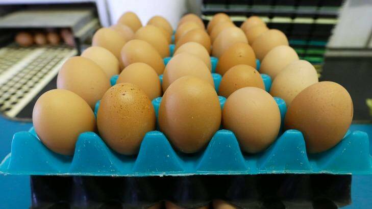 Free range eggs continue to be a popular choice among shoppers. Photo: CHARLIE NEIBERGALL