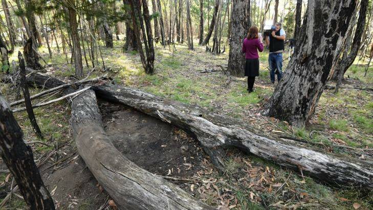 The site in Macedon Regional Park where the remains of a woman were found on Monday. Photo: Justin McManus