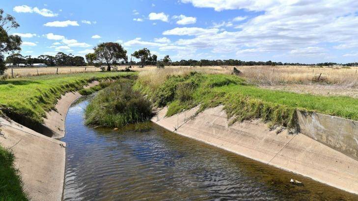The drainage channel that runs through the site in Werribee where radioactive cow carcasses have been buried.  Photo: Joe Armao