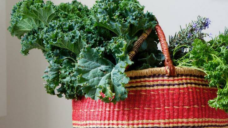 Kale: cancer-fighting claims are unsubstantiated. Photo: Simon O'Dwyer