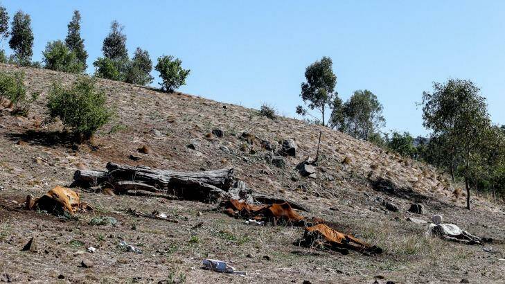 There were 22 horses found dead on the property in Bulla.
 Photo: Eddie Jim