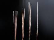 The four spears were among 40 taken from the Gweagal people more than 250 years ago. (Bianca De Marchi/AAP PHOTOS)