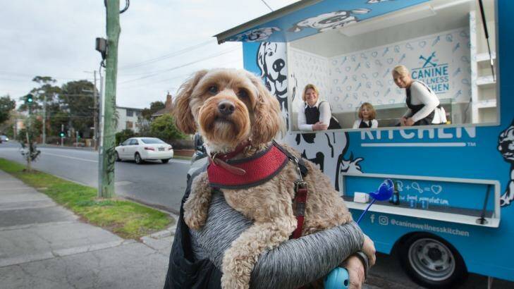 Katie Crandon and Laura Yeomans  have started up Canine Wellness Kitchen. Happy customer Cookie visits the dog food truck. Photo: Simon Schluter