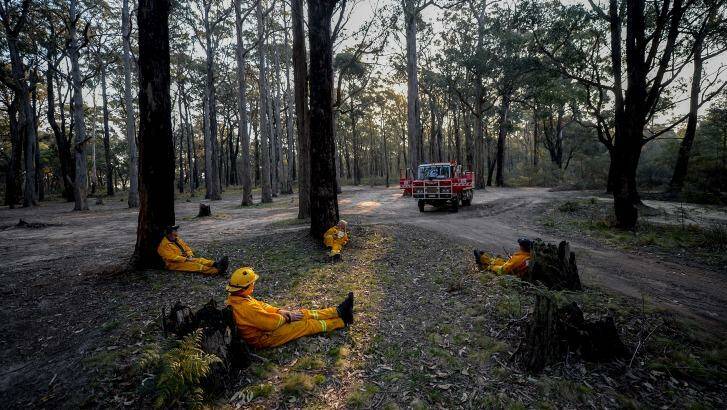 CFA firefighters on the Harcourt Tanker take a well-earned break in the Cobaw Forest after a long day. Photo: Justin McManus 